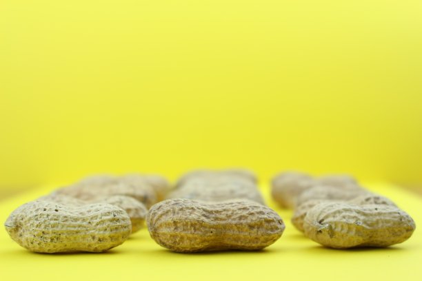 凤仙花科花生果类图片下载