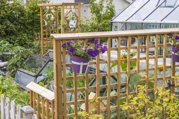 私人后院的近景。瑞典。图片下载