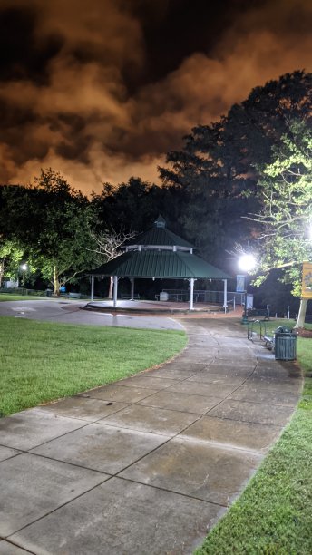 仲夏夜漫步公园图片下载