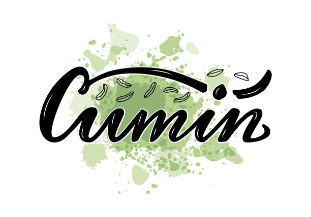 小茴香黑字在绿色水彩背景上图片下载