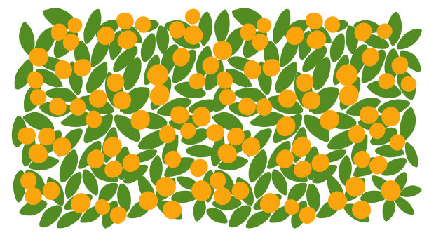 柑橘树的叶子背景果园图片下载