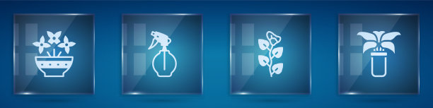 把花插在花瓶喷水瓶常青藤枝上图片下载