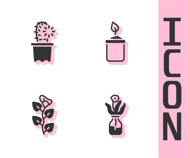 玻璃瓶仙人掌仙人掌仙人掌仙人掌盆栽常春藤图片下载