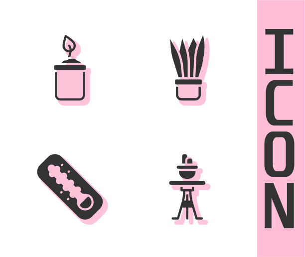 在桌上的花盆中放置植物芽瓶图片下载