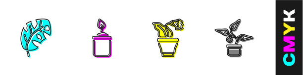 将热带叶芽置于瓶式花盆中图片下载