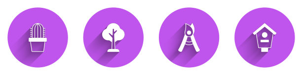 盆栽森林园艺中设置仙人掌仙人掌图片下载