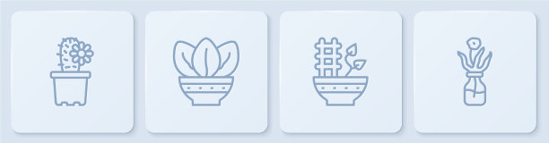 在盆栽植物和花卉中栽植仙人掌图片下载