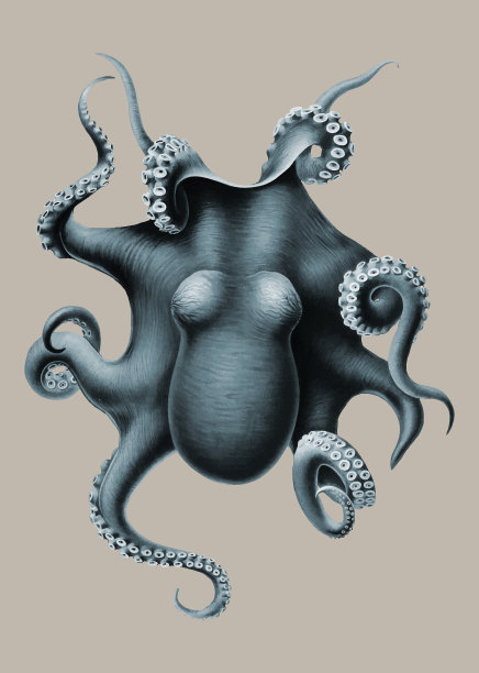 复古章鱼图片下载