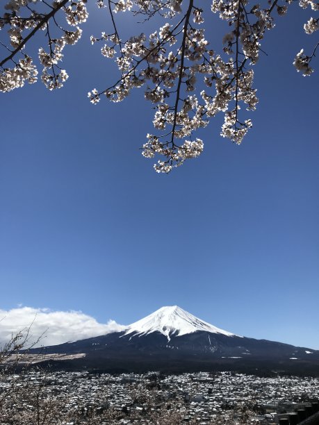 春天的富士山，为字体和艺术品留出空间图片下载