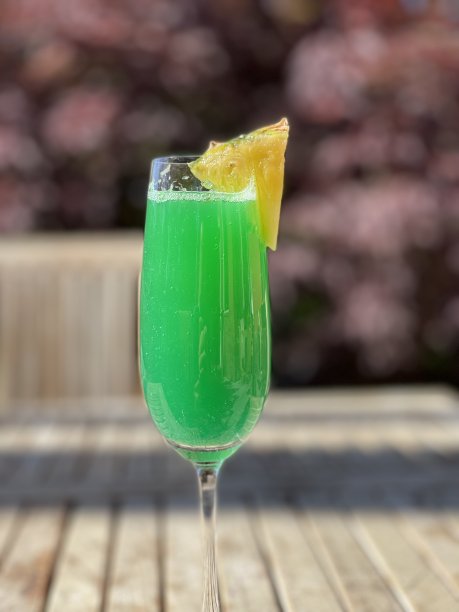 热带风味含羞草图片下载