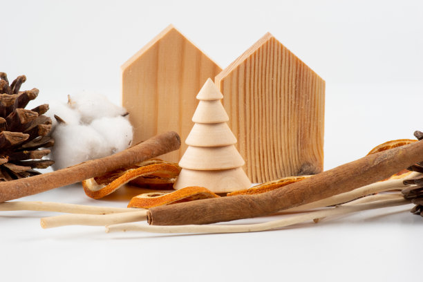 圣诞节房屋装饰图片下载