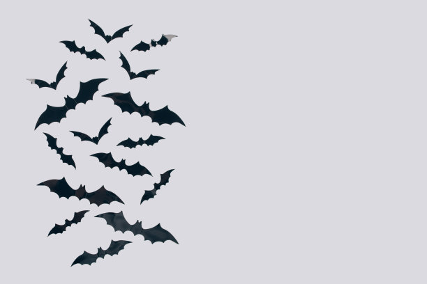 万圣节背景-装饰纸蝙蝠在浅灰色的背景与复制空间。万圣节装饰或派对邀请的概念。有选择性的重点图片下载