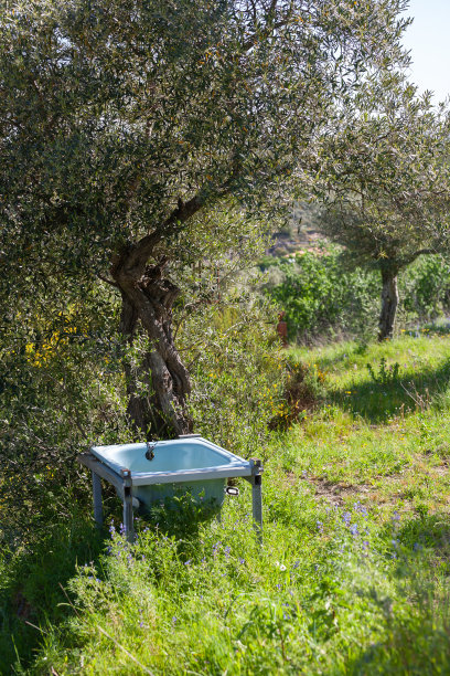 废弃在田里的肮脏的旧澡盆，可回收用作牛的饮水槽。图片下载