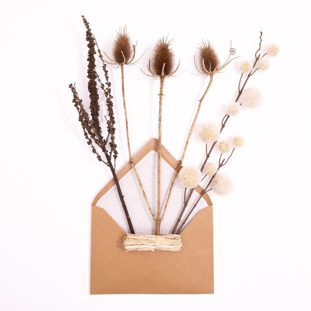 秋冬舒适的背景。秋天早午餐的装饰和信封。时尚的米褐色色调。极简主义的季节审美平铺场景图片下载