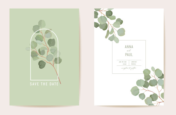 婚礼热带花卉邀请。桉树，绿叶，绿叶树枝卡，水彩模板向量。植物省枣叶封面，现代海报，时尚设计，豪华背景图片下载