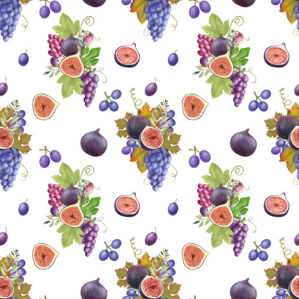 蓝紫葡萄和无花果无缝图案，白色背景手绘插图图片下载