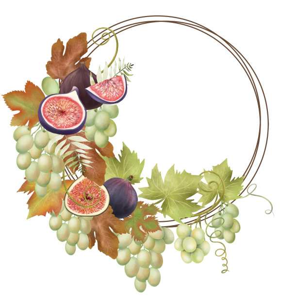 秋天水果圈的绿色葡萄和无花果，手绘孤立的插图在白色的背景图片下载