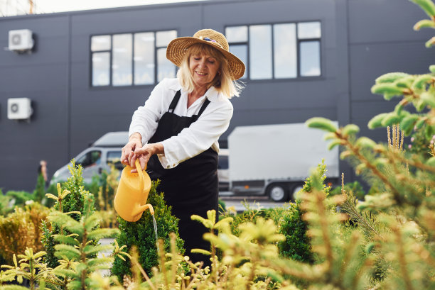 浇花。一位年长的女士白天在花园里图片下载