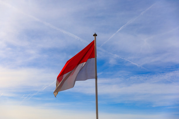 摩纳哥国旗图片下载