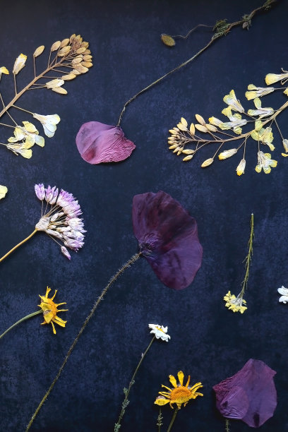 按下的花朵图片下载