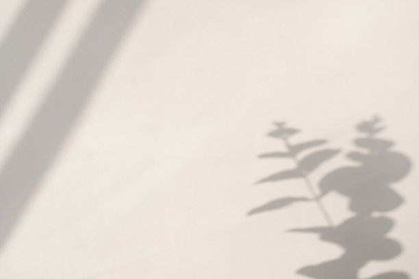 背景与窗帘和植物阴影图片下载