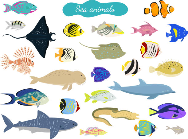 设置卡通海洋动物在白色背景图片下载