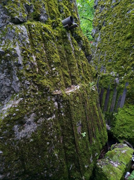 贝洛戈罗多克的长期发射点图片下载