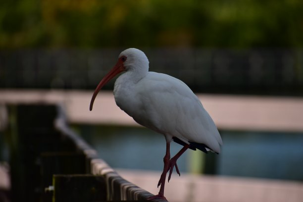 在巡逻图片下载