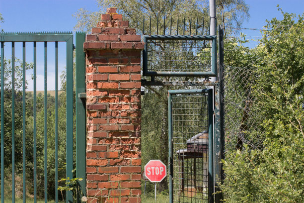 森林里的废弃物品，门开着，背景上有一个停止标志图片下载