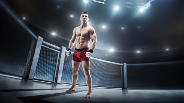 战斗机的立场。八角形的战士。运动员。侧视图。运动。3 d图片下载