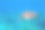 蓝水里的海龟。友好的海龟水下照片。野生海洋动物。暑假的活动。浮潜或潜水横幅模板。热带海岸与海龟。图片下载