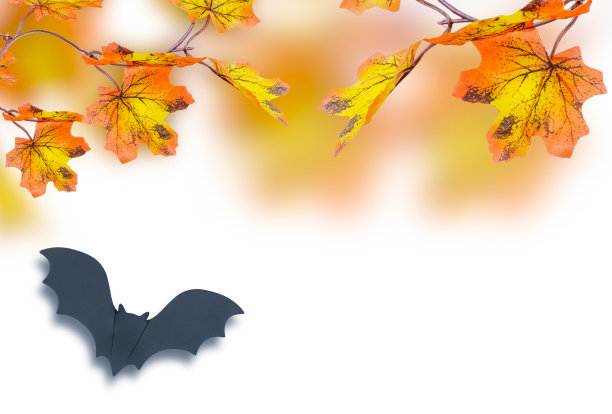 秋天五颜六色的背景与秋叶和蝙蝠的剪影。万圣节假期的概念和秋天的开始图片下载