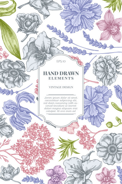 卡片设计与柔和的海葵薰衣草图片下载