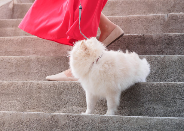 一个小妞和一个穿红裙子的情妇从一个大楼梯上走下来图片下载