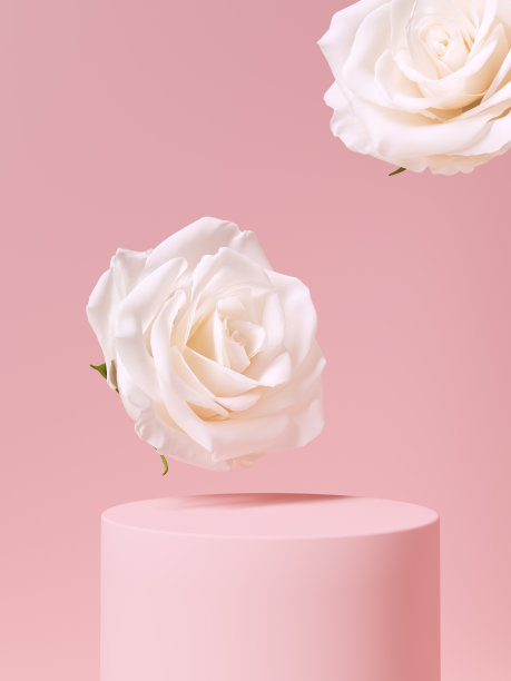 美丽的白玫瑰和粉红色讲台产品展示背景，美丽的自然化妆模型3d渲染。抽象的极简主义浪漫的女性场景与落花。图片下载