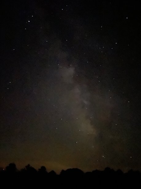 鹿在宾夕法尼亚州图片下载