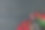 情人节贺卡。木桌上放着红玫瑰花、酒和礼盒。图片下载