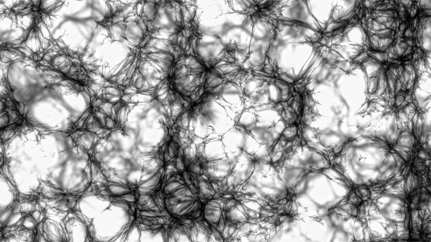 蜘蛛网一种抽象的、不规则的、不断进化的形状，使人联想到蜘蛛网图片下载