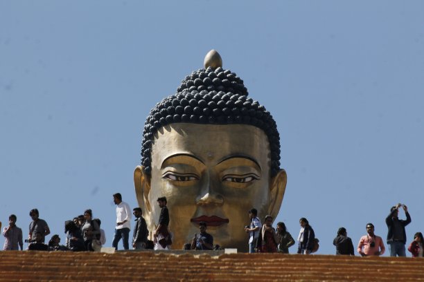 金鱼王的涅槃图片下载