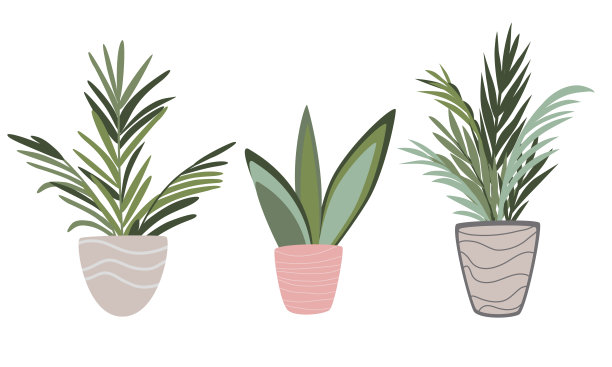 向量集室内室内植物盆栽在斯堪的纳维亚风格。现代室内设计元素图片下载