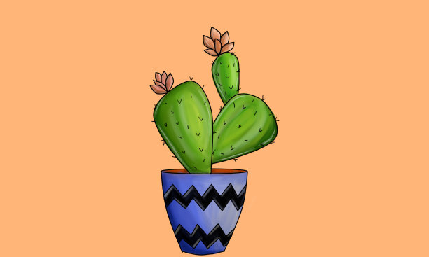 水彩设计与观赏仙人掌植物对象图片下载