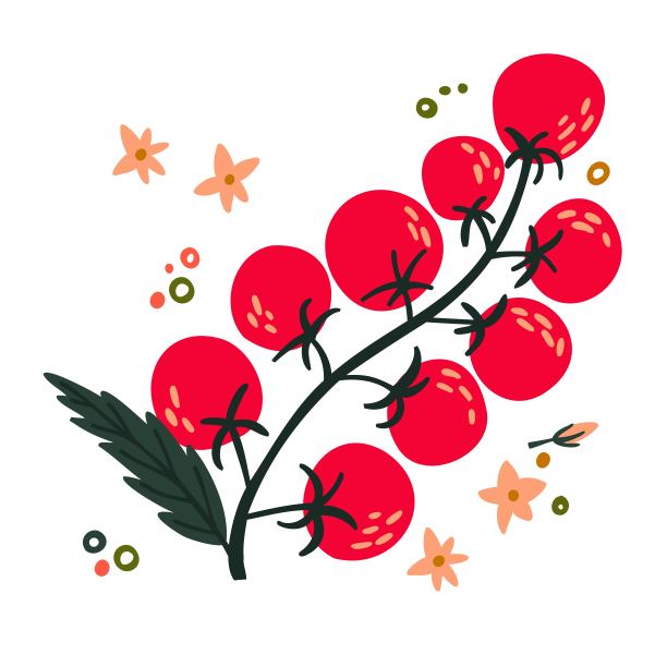 平樱桃番茄手绘。扁平的蔬菜上白。素食、养殖、自然图片下载