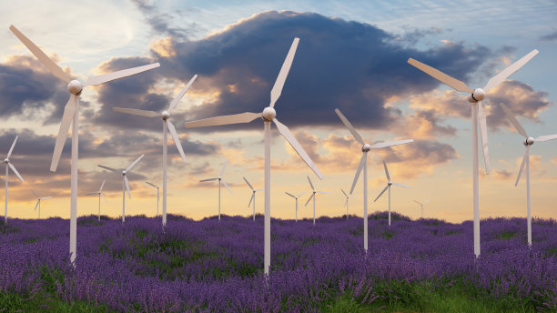 风车能源涡轮机薰衣草田可再生电力3D插图图片下载