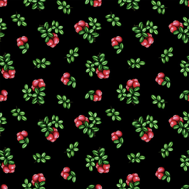 水彩越橘，蔓越莓无缝图案。红色的森林浆果串和绿色的叶子在白色。手绘植物背景复古印花图片下载