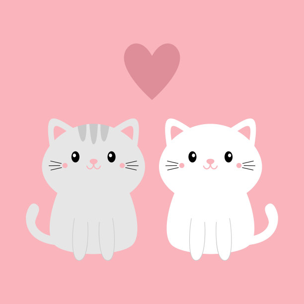 可爱的灰白色小猫小猫集快乐图片下载