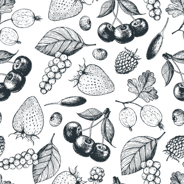 贝瑞手画无缝模式。手绘素描矢量插图枸杞浆果，樱桃，覆盆子，醋栗，草莓。食物设计模板与浆果。图片下载