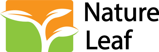 树叶标志设计为自然标志模板图片下载