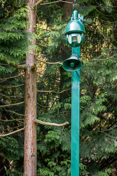 公园林区的扬声器和监控摄像头图片下载