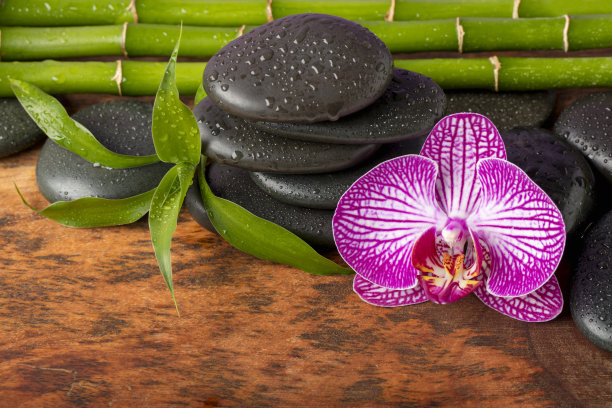水疗概念——黑色按摩石，兰花和竹竿放在芒果木桌上图片下载
