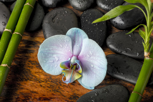 水疗概念——黑色按摩石，兰花和竹竿放在芒果木桌上图片下载